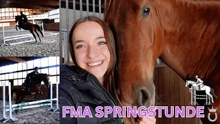 Springstunde mit einem Jungpferd 🤪​💥​ | Marina Schuster