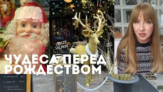 ВОТ ЭТО ПОДАРОК🎁, ВСЕ БЫВАЕТ ПЕРЕД РОЖДЕСТВОМ❄, С НАСТУПАЮЩИМИ ВСЕХ!🎄🎄🎄