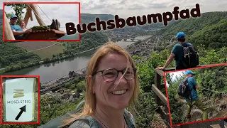 Buchsbaumpfad Treis-Karden an der Mosel