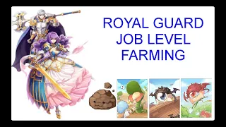 ROYAL GUARD JOB LEVEL FARMING (Rachel 1 Hit)