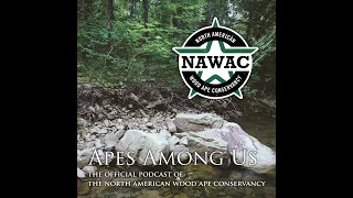 Apes Among Us Episode 3: Meeting Pruitt