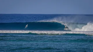 THE LAST MAN IN THE MENTAWAI l JUNE RIFLES