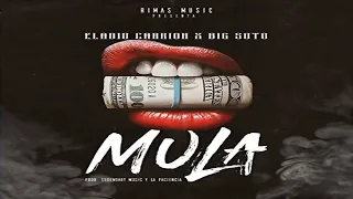 ELADIO CARRION FT BIG SOTO - MULA