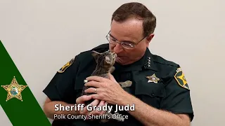 Grady Judd booped by kitten during adoption video