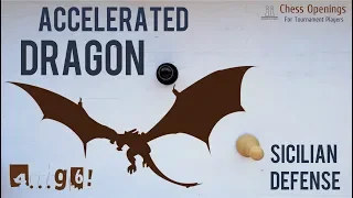 The Accelerated Dragon ⎸Sicilian Defense Theory