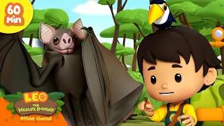 Scary Animals! Vampire Bats & more! | Leo the Wildlife Ranger | Kids Cartoons