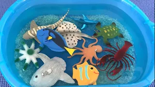 Sea Animal Toys Water Sensory Bags