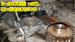 cambelt /water pump on a ford kuga 2.0 diesel- how to replace