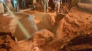 Elephant Mother and Calf Rescued from Cesspit | Sheldrick Trust