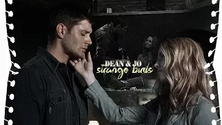 dean & jo - strange birds