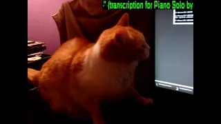 IT cat checks monitor