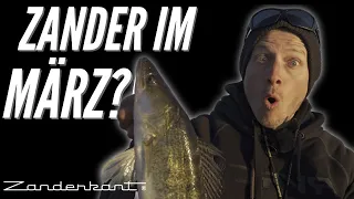 Auf Zander angeln im März? Na klar! Was du Neues über deinen Zielfisch wissen musst.