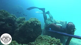 🧐CRAZY Moments throught the Day | Spearfishing the Aegean 🇬🇷 ✔