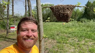 Another Pill Bottle Swarm! Oh Yeah!