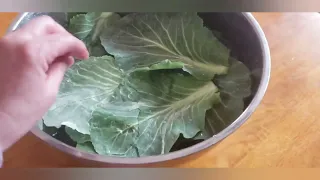 Cabbage Rolls Recipe (a way to use up the outer leaves of cabbages) #growyourownfood 👩‍🌾