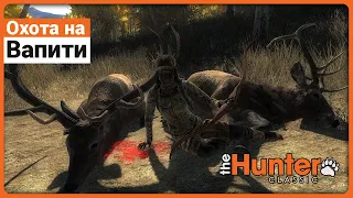 Охота на Вапити в theHunter Classic !