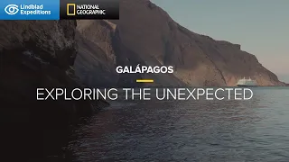 Galápagos: Exploring the Unexpected | Lindblad Expeditions-National Geographic