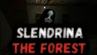 [Slendrina: The Forest] СЛЕНДРИНА И БАБКА В ДЕЛЕ! (ANDROID GAMEPLAY)