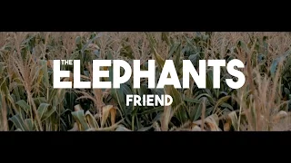 The Elephants - Friend (Official Music Video)