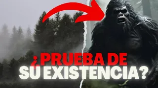 "Sierra Sounds", la evidencia más importante de PIEGRANDE / BIGFOOT