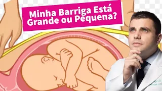 Como saber se a Barriga está Grande ou Pequena? (Tamanho da Barriga da Grávida)