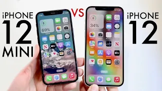 iPhone 12 Vs iPhone 12 Mini In 2024! (Comparison) (Review)