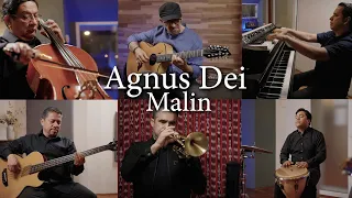 Agnus Dei (Instrumental Cover) - MALIN