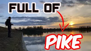 INCREDIBLE short PIKE FISHING session on a lake