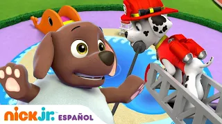 Paw Patrol, Patrulla de cachorros | ¡Fiesta en la piscina para cachorros! | Nick Jr. en Español