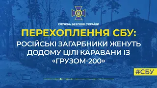 Російські загарбники женуть додому цілі каравани із «грузом-200»