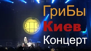 [Группа Грибы] Концерт Киев. 2016