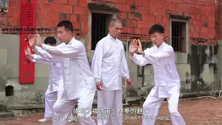 南少林宗鶴拳（下）：發源地位於福建省福清市，是中國獨一無二的武術派系。#fujian #武術 #非遺文化