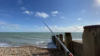 I wasn’t expecting to catch 8 of these today - sea fishing October 2020