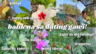 Balik na sa usual routine! | BapangAndringVlogs 🏡🌸🌿🌳