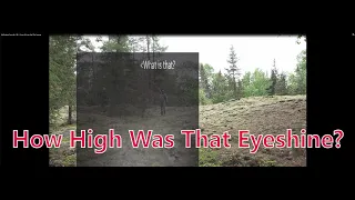 My Bigfoot Story Ep. 186 - Going To Lose Half The Swamp?