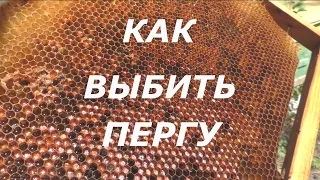 Как выбить пергу. Пчелы начинающим.