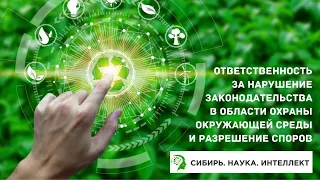 Ответственность за нарушение законодательства в области охраны окружающей среды и разрешение споров