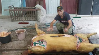 //Все буде Україна//Колій циган,Свіжина-ТаранчЮк//Мясо на дереві не росте//Це також треба робити//