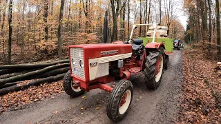 Farm Vlog #210 Schritt für Schritt !