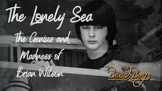 The Lonely Sea : The Genius and Madness of Brian Wilson