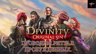 Divinity: Original Sin II. Проводим ритуал пробужденных. Начинаем обретать божественность#42
