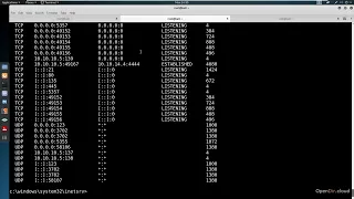 Windows Privilege Escalation for Beginners | Network Enumeration