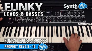 FUNKY LEADS & BASSES (60 new presets) | SEQUENTIAL PROPHET REV2 ( 8 - 16 voices) | SOUND BANK