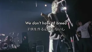 [和訳] Breed - Nirvana