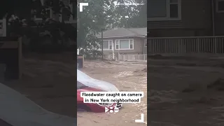 Floodwater caught on camera in New York neighborhood