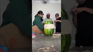 Exploding a watermelon with rubber bands! #shorts