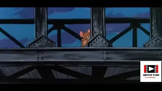 Последная серия tom and jerry. Очень грустно.