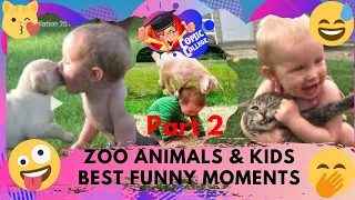 FUNNIEST ZOO ANIMALS & KIDS BEST FUNNY MOMENTS  TRY NOT TO LAUGH COMPILATION Part 2