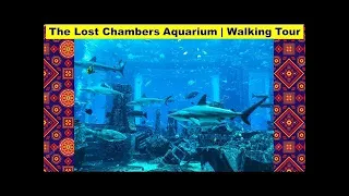 THE LOST CHAMBERS AQUARIUM WALKING TOUR | DUBAI WALKING TOUR