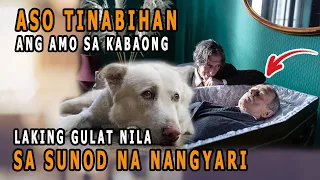 ASO ARAW ARAW NAKATITIG SA LALAKING NASA KABAONG LAKING GULAT NILA SA NATUKLASAN!